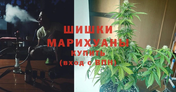 бутират Белокуриха