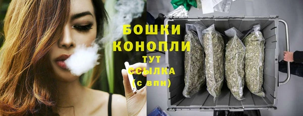 бутират Белокуриха