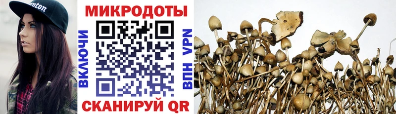 Галлюциногенные грибы Cubensis  Гороховец 